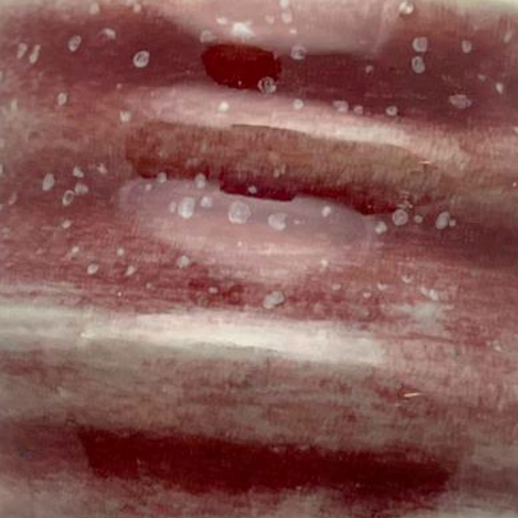 Penguin Pottery - Celadon Series - Burgundy Gloss (Pint | 16 fl.oz | 473 ml)